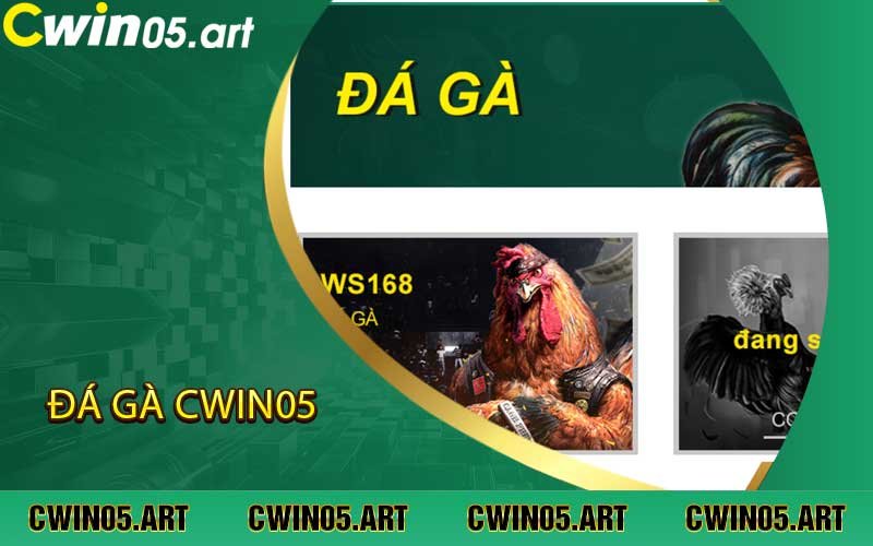 đá gà cwin05